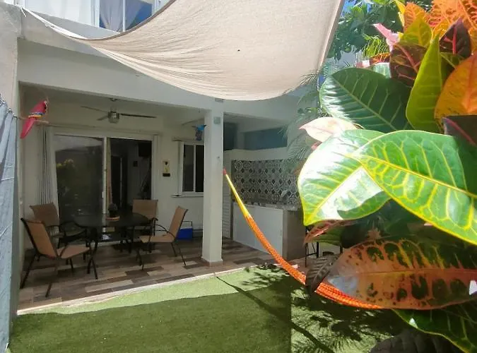 Сasa de vacaciones La Casa Del Mexicano Terraza Y Jardin Exoticos 12 Min Del Playa Esmeralda