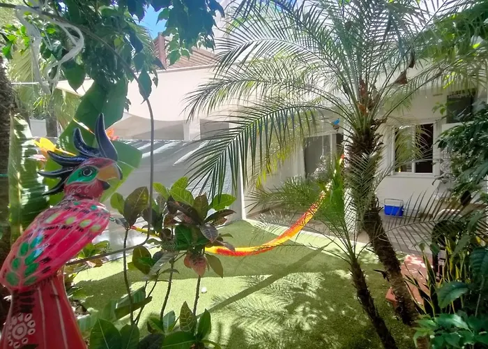 La Casa Del Mexicano Terraza Y Jardin Exoticos 12 Min Del Playa Esmeralda Playa del Carmen