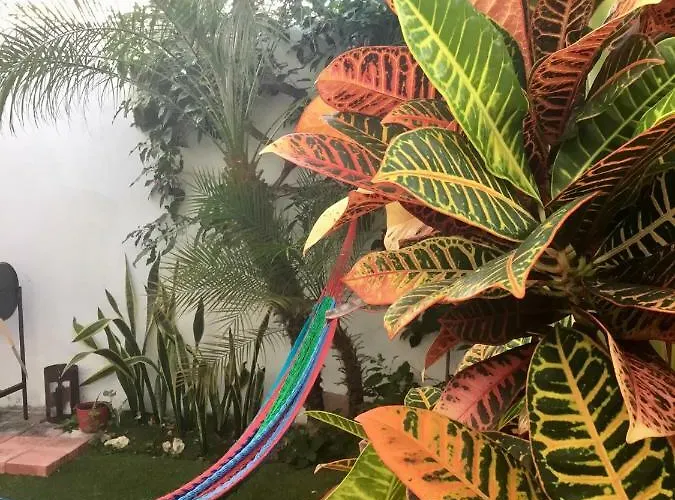 La Casa Del Mexicano Terraza Y Jardin Exoticos 12 Min Del Playa Esmeralda Сasa de vacaciones
