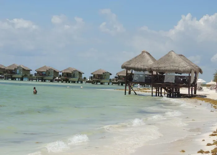 La Casa Del Mexicano Terraza Y Jardin Exoticos 12 Min Del Playa Esmeralda *